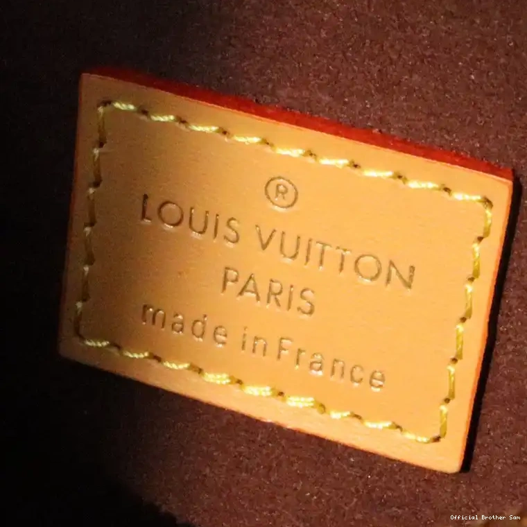 Official Brother Sam LV Bag 2306YA0168 0629